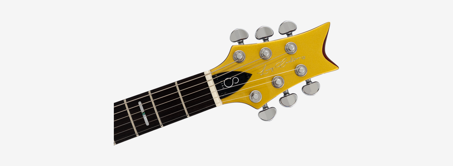 Sire Larry Carlton Q7