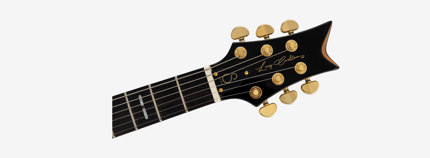 Sire Larry Carlton Q7
